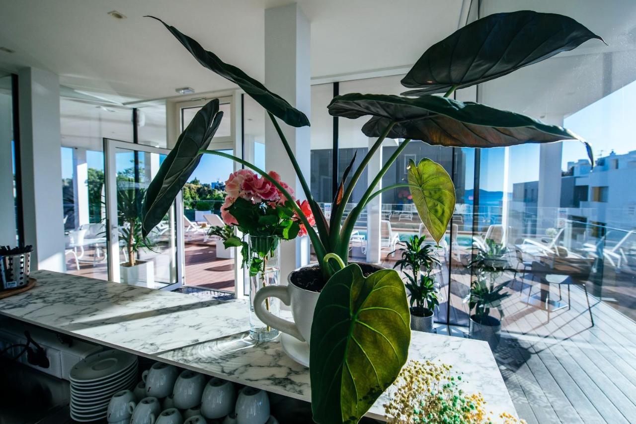 Dedaj Resort - Villa Auri Zadar Eksteriør bilde